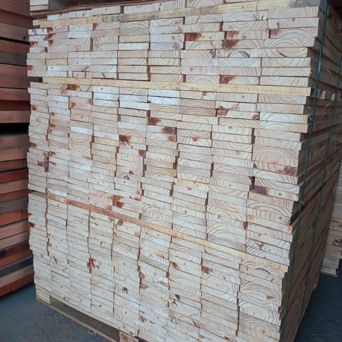 Pinus2