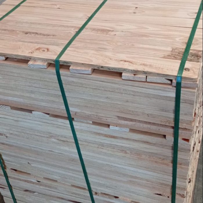 Pinus6